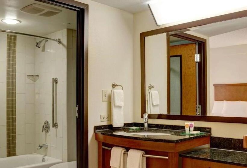 Mozgáskorlátozott Standard Szoba King Size Bed, Sonesta Select Tucson Airport