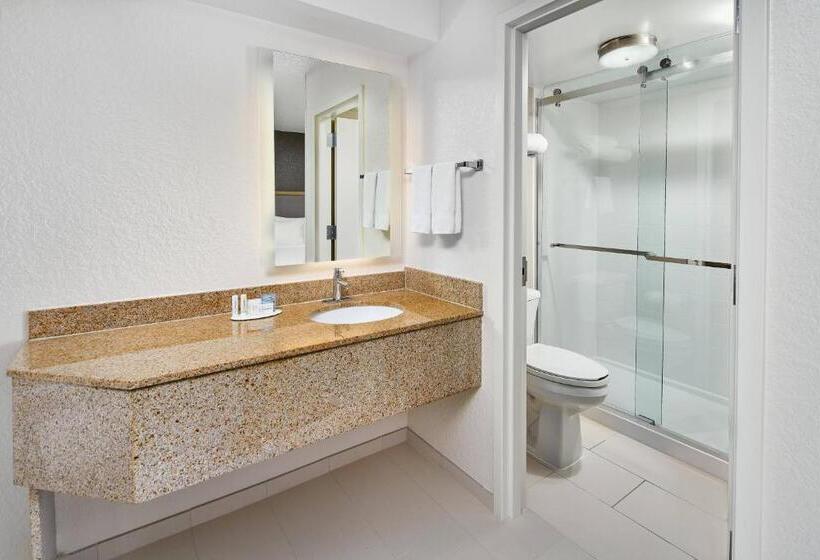 带大床的套房, Springhill Suites Houston Hobby Airport