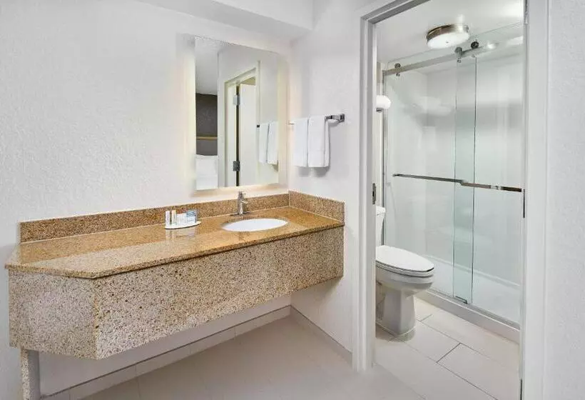 Sviitti King-vuode, Springhill Suites Houston Hobby Airport
