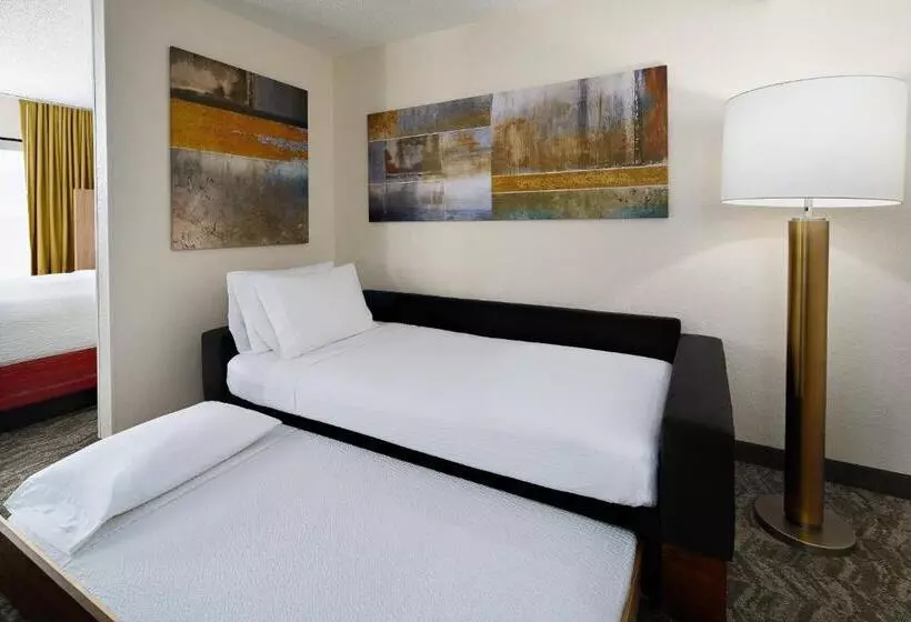 Sviitti King-vuode, Springhill Suites Houston Hobby Airport