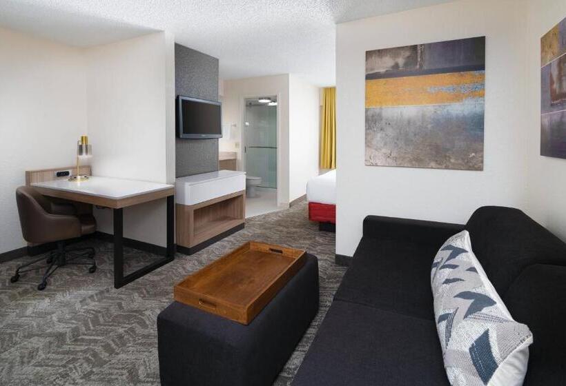 带大床的套房, Springhill Suites Houston Hobby Airport