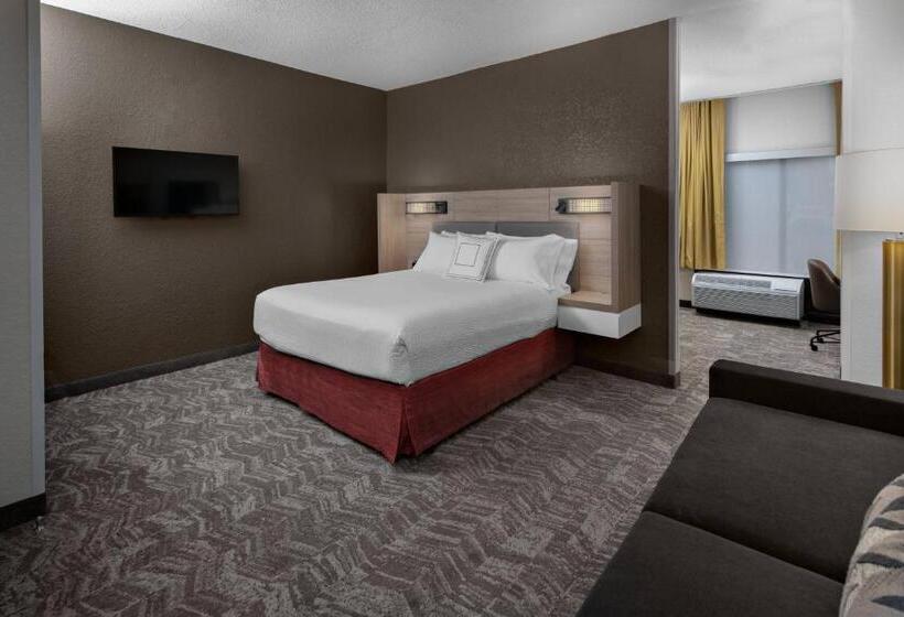 带皇后床的套间, Springhill Suites Houston Hobby Airport