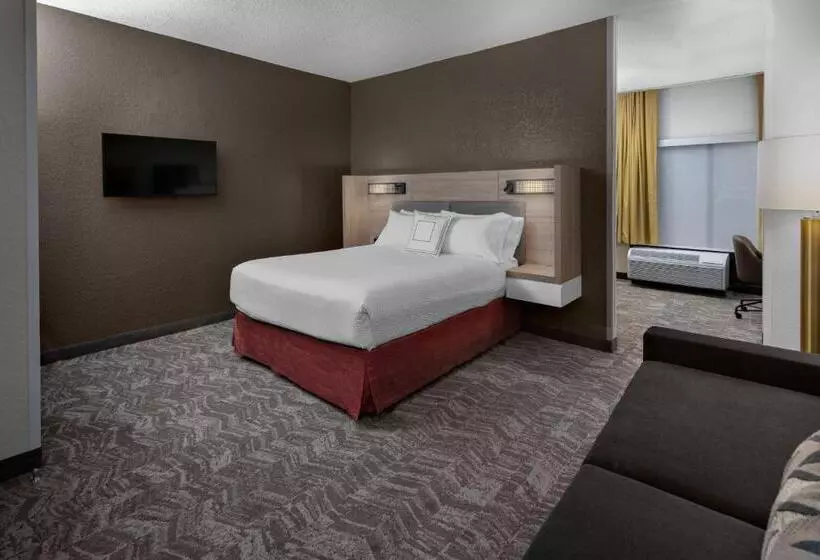 Suite Queen Bed, Springhill Suites Houston Hobby Airport