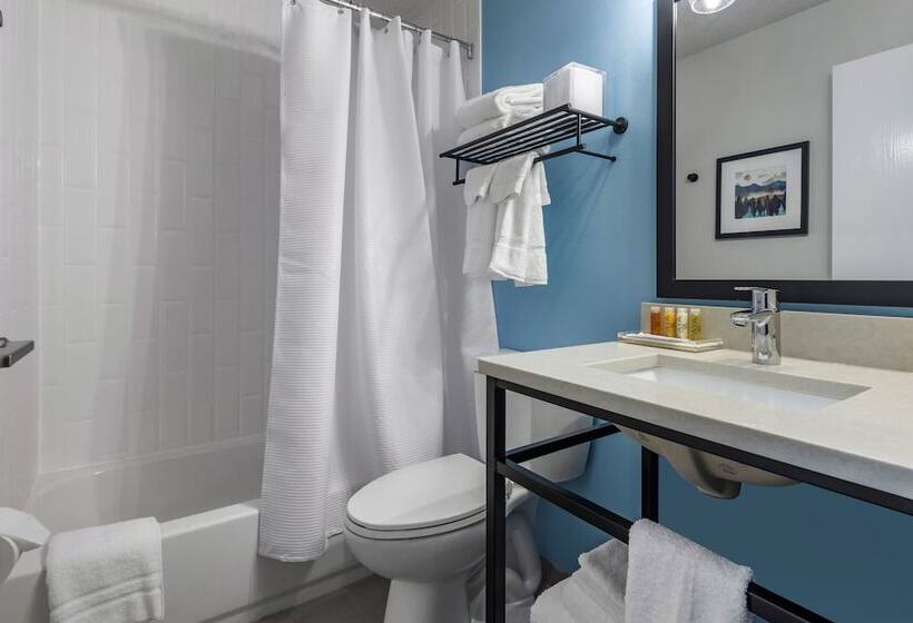 غرفه قياسيه سريرين مزدوجين, The Freeport Hotel, Ascend Hotel Collection