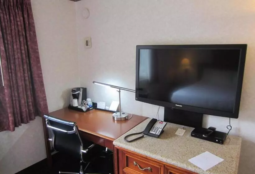 اتاق لوکس با تخت بزرگ, Cherry Orchard Inn