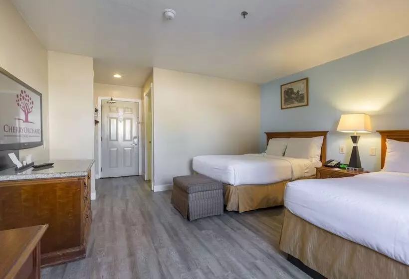اتاق استاندارد با 2 تخت دوبل, Cherry Orchard Inn