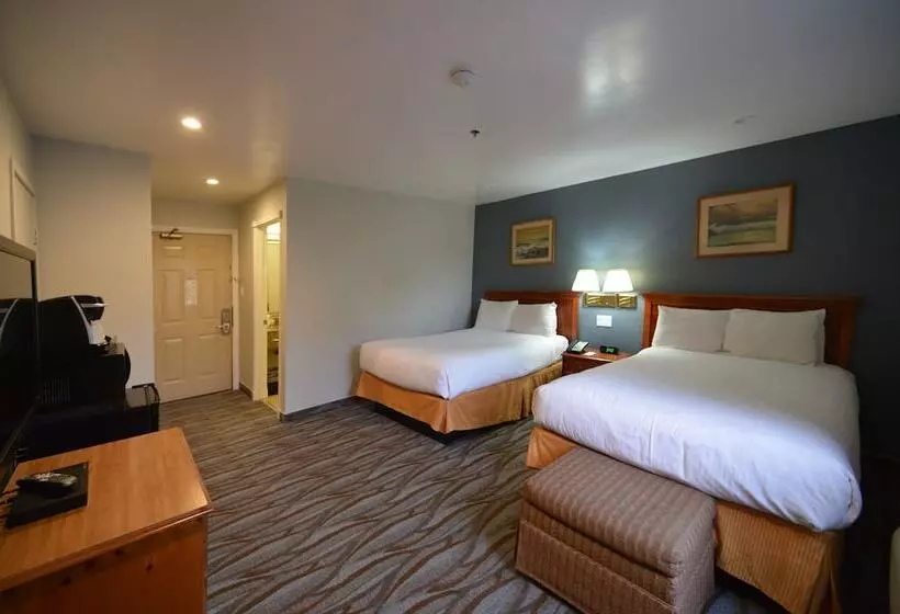 اتاق استاندارد با 2 تخت دوبل, Cherry Orchard Inn