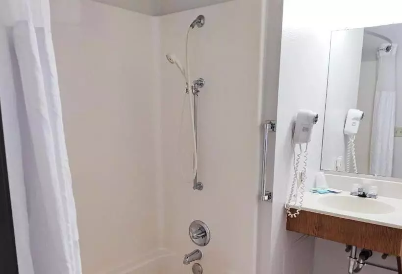 اتاق استاندارد برای معلولان, Magnuson Hotel Ironwood