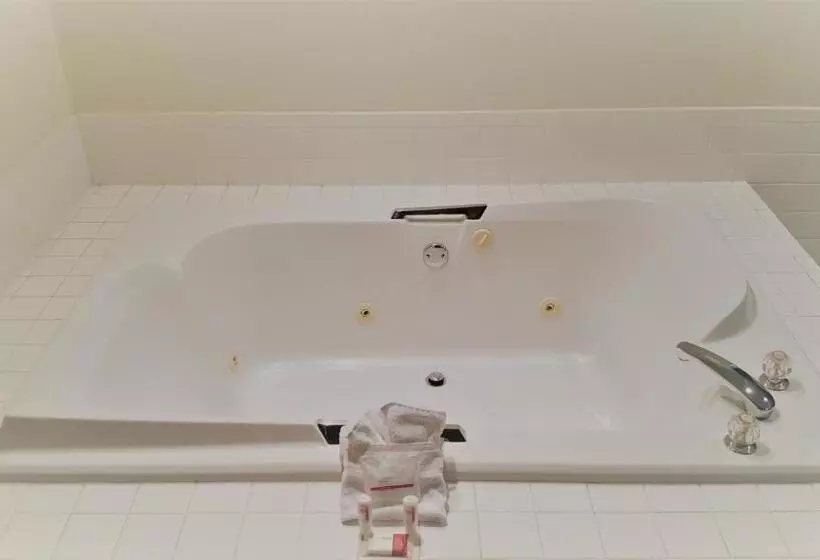 Deluxe Suite King Bed, Super 8 By Wyndham Harlingen Tx