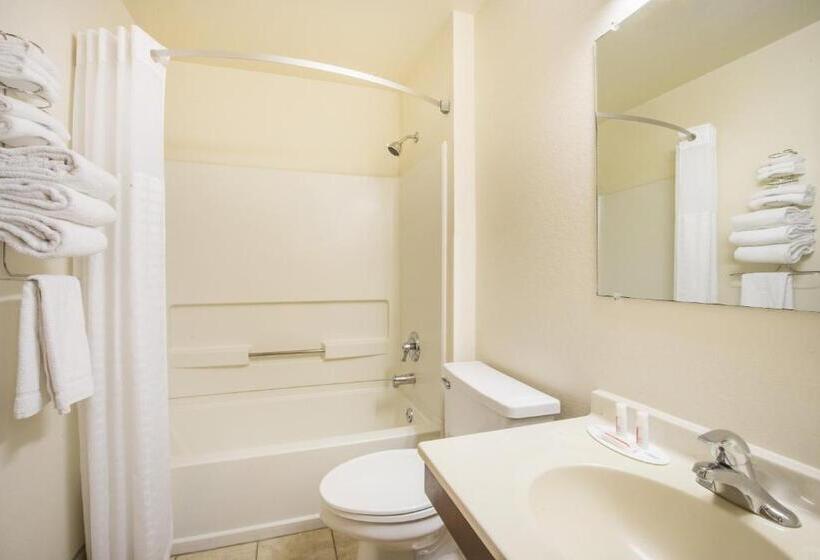 חדר סטנדרט עם מיטת קינג, Super 8 By Wyndham Harlingen Tx