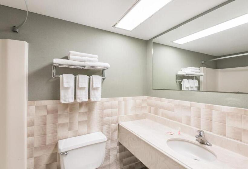 اتاق لوکس با تخت بزرگ, Super 8 By Wyndham Henrietta/rochester Area