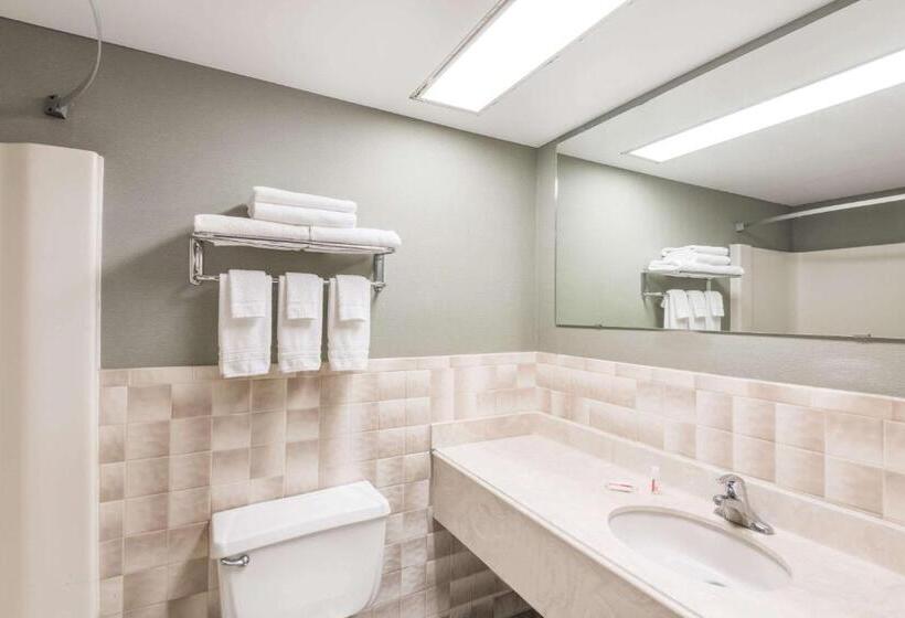 اتاق استاندارد برای معلولان, Super 8 By Wyndham Henrietta/rochester Area