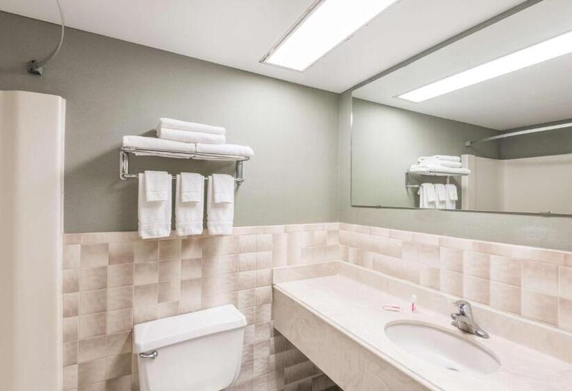 Deluxe Suite King Bed, Super 8 By Wyndham Henrietta/rochester Area