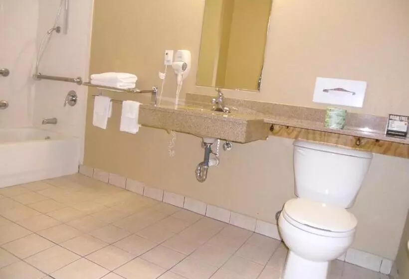身障者適用キングサイズベッドルーム, Super 8 By Wyndham Lantana West Palm Beach
