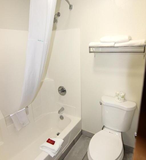 套房, Surestay Hotel By Best Western Manchester