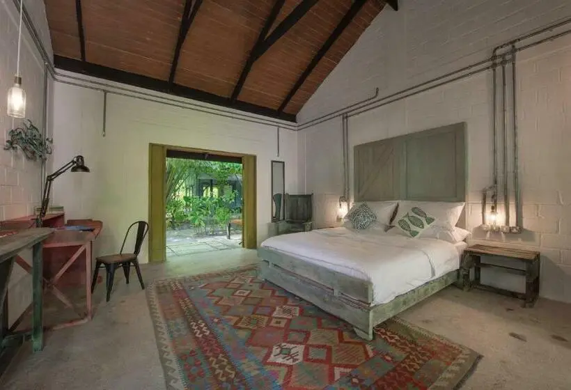 اتاق لوکس, Mi Lugar Maldives