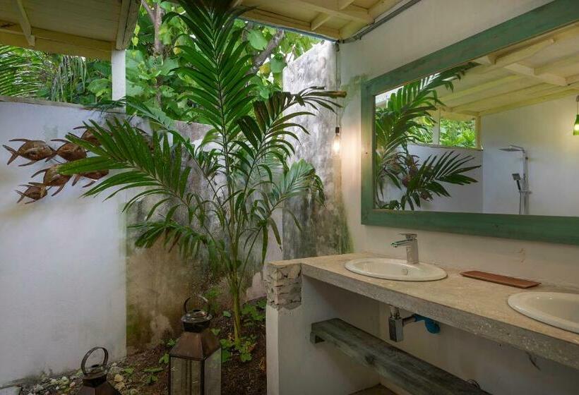 اتاق لوکس, Mi Lugar Maldives