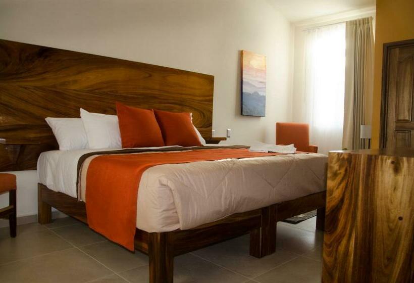 غرفة ديلوكس سرير كينج, Texas Inn