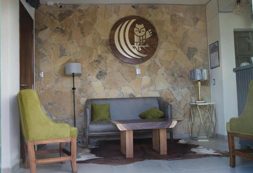 غرفة ديلوكس سرير كينج, Texas Inn