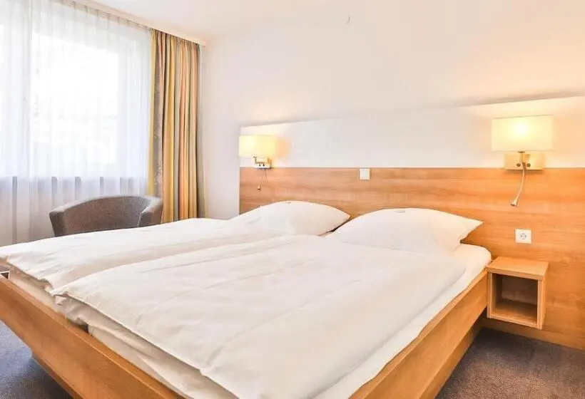Standard Single Room, Gasthaus Krone