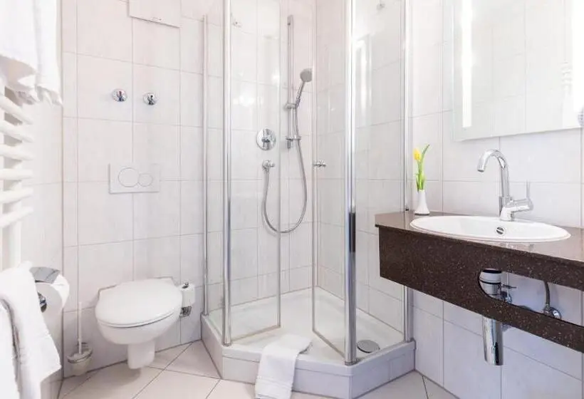 Standard Single Room, Gasthaus Krone