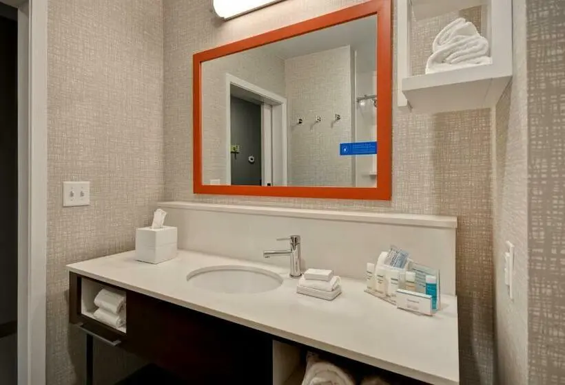 身障者適用キングサイズベッドルーム, Hampton Inn Pleasant View, Tn
