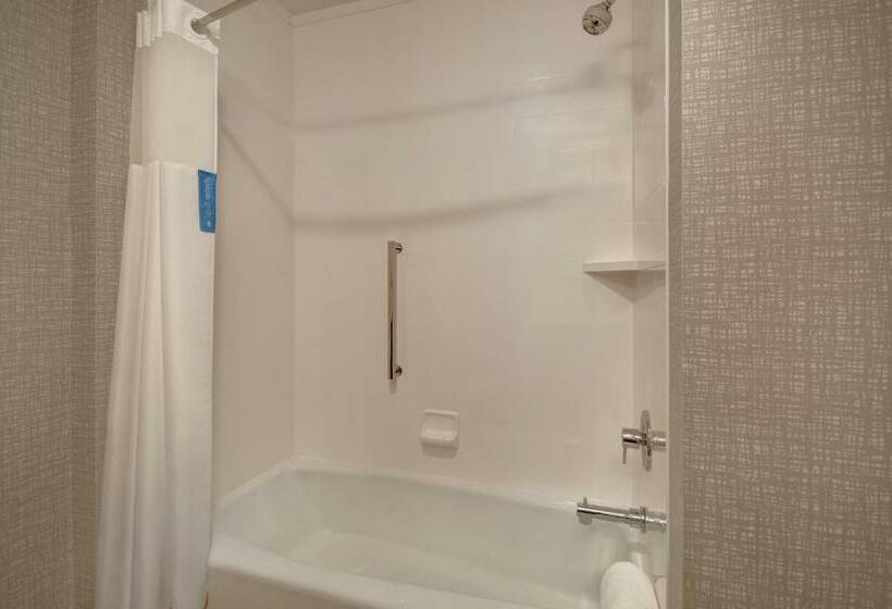 غرفة قياسية, Hampton Inn Pleasant View, Tn