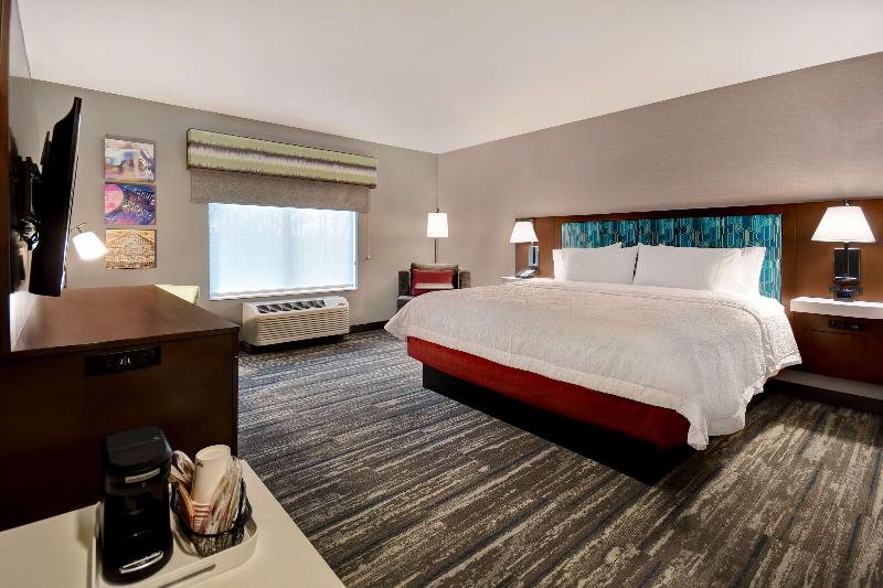 스탠다드 룸 킹사이즈 침대, Hampton Inn Pleasant View, Tn