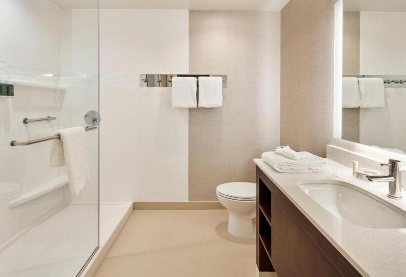 Люкс, Residence Inn Sacramento Davis