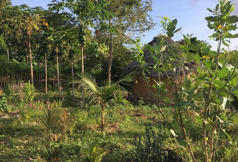 اتاق عادی, Little Nomads Eco Guesthouse