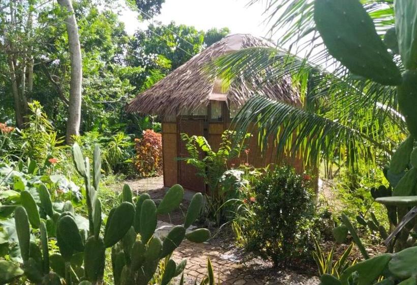 اتاق عادی, Little Nomads Eco Guesthouse