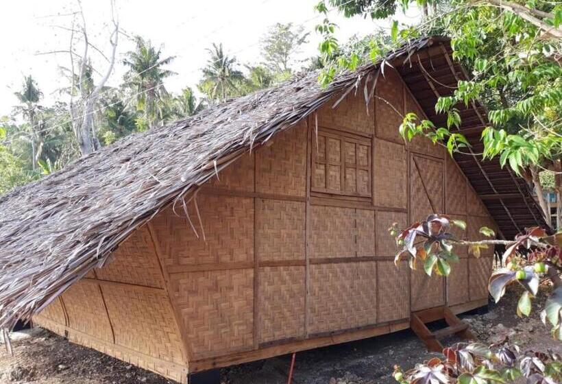 تختخواب در اتاق مشترک, Little Nomads Eco Guesthouse