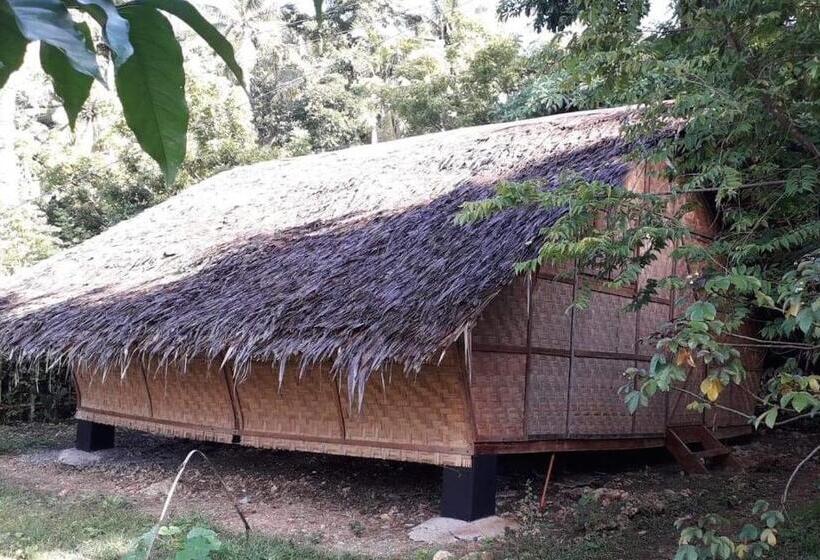 تختخواب در اتاق مشترک, Little Nomads Eco Guesthouse