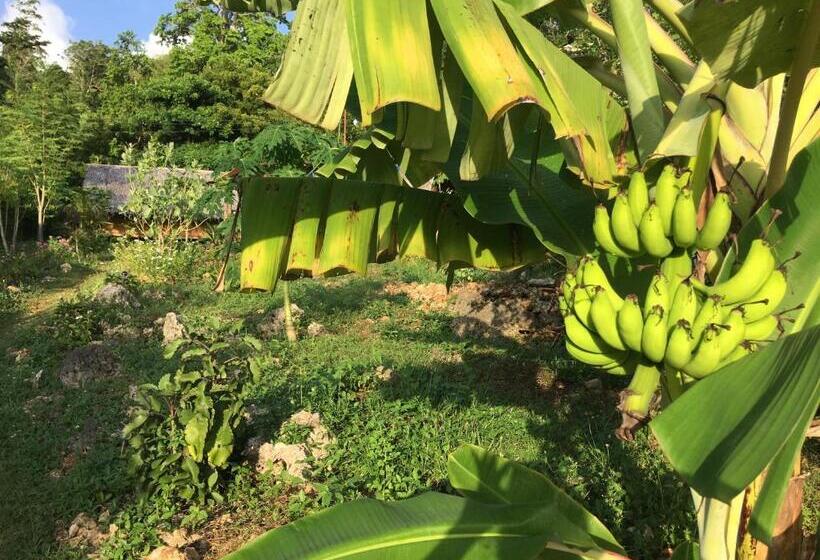 تختخواب در اتاق مشترک, Little Nomads Eco Guesthouse