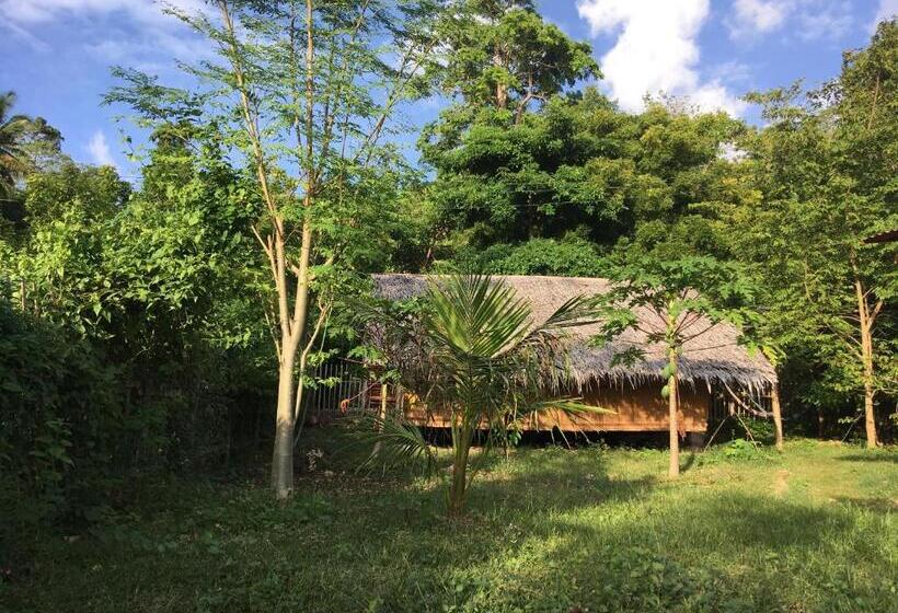 تختخواب در اتاق مشترک, Little Nomads Eco Guesthouse