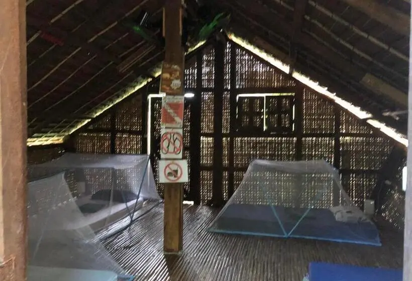 تختخواب در اتاق مشترک, Little Nomads Eco Guesthouse