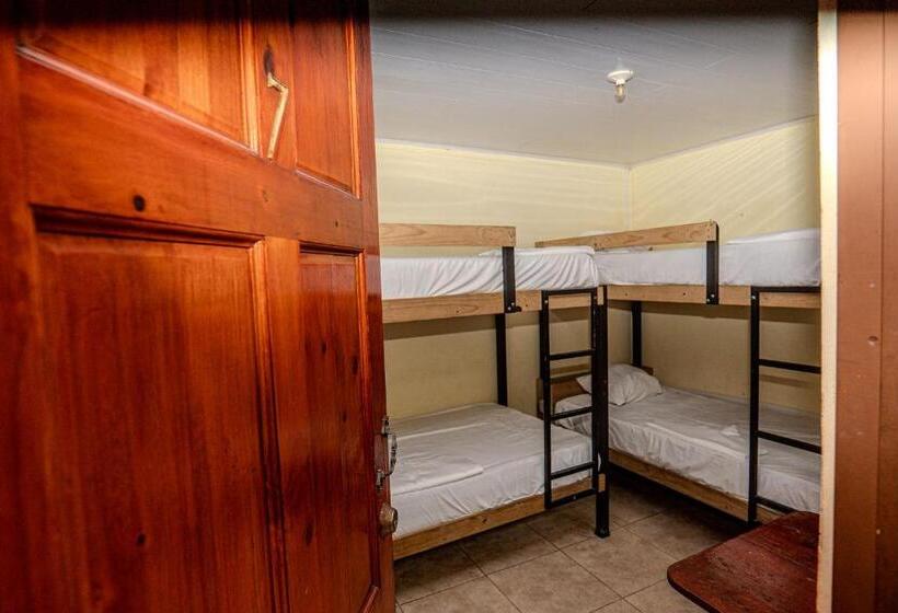 标准四人间共用浴室, Costa Linda Art Hostel