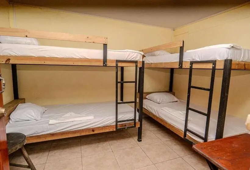 浴室共有スタンダード４人用ルーム, Costa Linda Art Hostel
