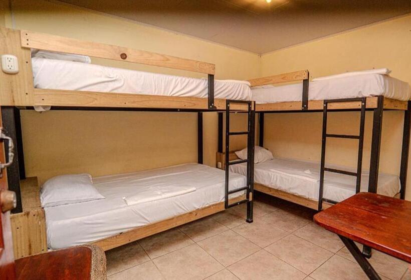 Номер Стандарт Четырехместный Совместный Санузел, Costa Linda Art Hostel
