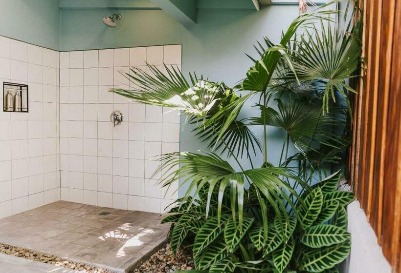 Номер Deluxe, Casa 41