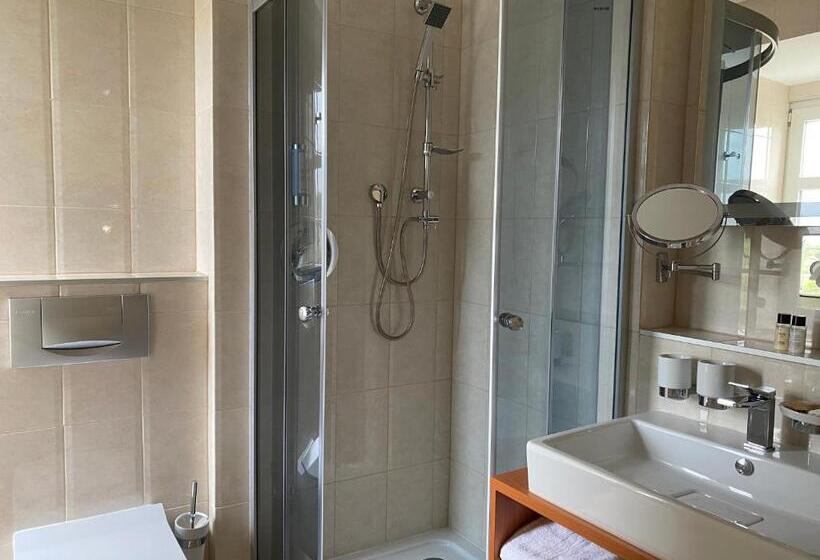 חדר סטנדרט, Villa Elsa