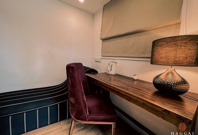 디럭스 룸, Haggai   Tourist Bangalow