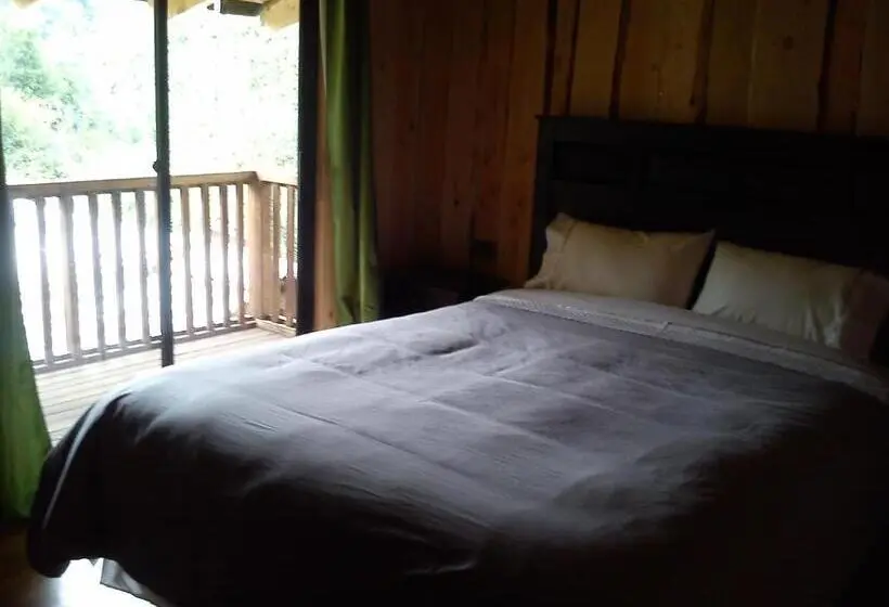 スタンダードルーム, Hostal Los Alamos Neltume