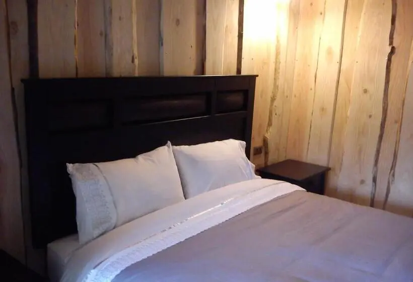 スタンダードルーム, Hostal Los Alamos Neltume