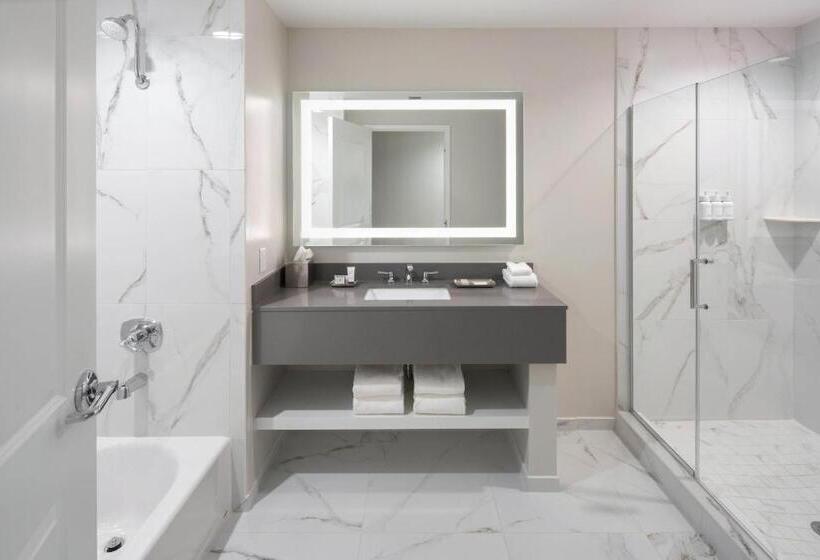 Deluxe Suite King Bed