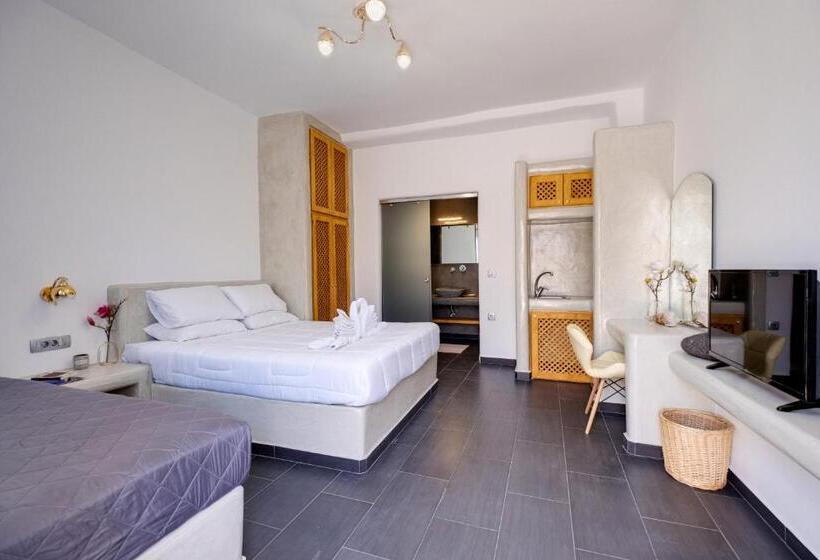 스탠다드 스튜디오 측면 바다 전망, Beach Houses Santorini