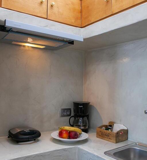 스탠다드 스튜디오 바다 전망, Beach Houses Santorini