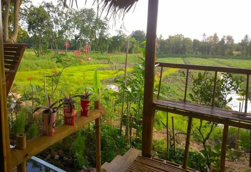 이코노미 룸, Cast Away