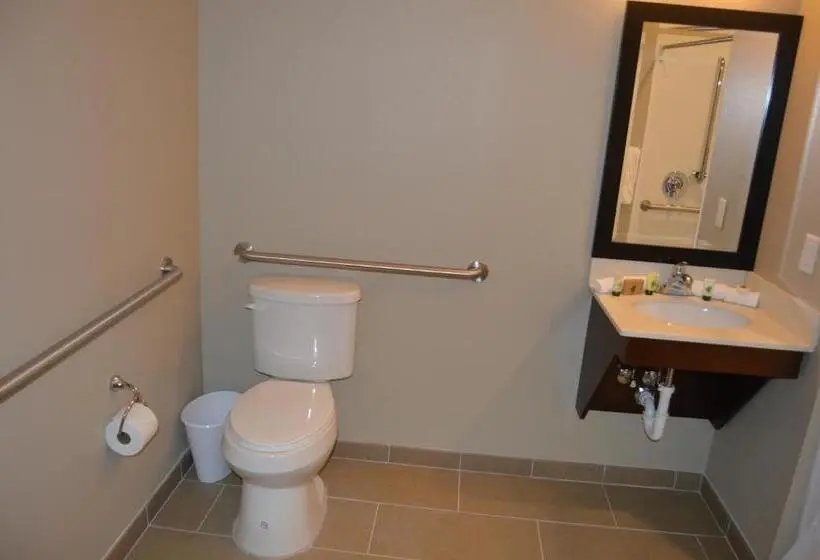 身障者適用キングサイズベッドルーム, Heritage Place Hotel And Suites