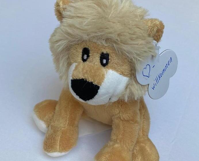 标准单人间, Bürgerhauslöwen